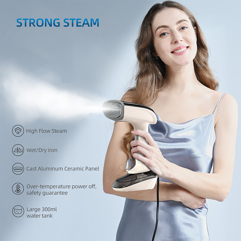 RX01 Portable 1200W High Power Electric Customized Support Garment Steamers Clothes Steamers With Big Air Output